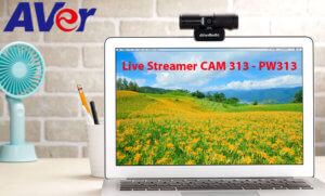 Aver Live Streamer Cam 313 Uae