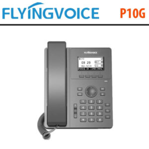 flyingvoice p10g dubai